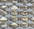 吳大嫂豬肉酸菜餡水餃1280g 64只速凍餃子蒸餃煎餃 速凍食品鍋貼  曬單實(shí)拍圖