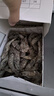 鮮享純【青島蝦】超大蝦新鮮大蝦冷凍鮮活青島大蝦批發(fā)整箱基圍蝦青蝦 15-17厘米鮮蝦速凍 3斤(凈重) 曬單實(shí)拍圖