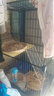 寵趣匯龍貓松鼠籠子柜籠超大號多層加密家用大別墅花枝鼠密袋鼬專(zhuān)用籠子 加長(cháng)無(wú)輪2層【47_37_78】 升級款【草窩+飲水器+基礎款】 曬單實(shí)拍圖