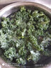 羽衣甘藍(lán)新鮮生鮮蔬菜嫩葉甘蘭芥藍(lán)西餐沙拉榨汁減肥減脂 羽衣甘藍(lán)減脂嘗鮮裝1斤 曬單實拍圖