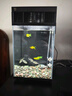 米家智能桌面魚缸小米生態(tài)魚缸小型智能專業(yè)背濾一體缸自循環(huán) 曬單實拍圖