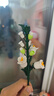 樂(lè )高（LEGO）積木拼裝10342 粉黛花束男孩女孩玩具教師節禮物 曬單實(shí)拍圖