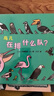 鳥(niǎo)兒在排什么隊？大村知子 演繹鳥(niǎo)兒生活，巧記鳥(niǎo)類(lèi)習性，培養自然興趣，提升科學(xué)認知 曬單實(shí)拍圖