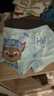 汪汪隊立大功（PAW PATROL）兒童內褲男寶寶短褲小孩棉質(zhì)四角平角褲4條裝PA089 100 曬單實(shí)拍圖