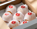 京鮮生 長(cháng)城羊脂秋月梨 正宗大果 凈重5斤 單果300g+ 生鮮水果禮盒 曬單實(shí)拍圖