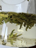 京東京造 2025新茶明前特級龍井100g地標綠茶茶葉罐自己喝伴手禮自營(yíng) 曬單實(shí)拍圖