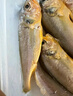 昌鮮園野生小黃魚(yú)新鮮冷凍舟山海捕黃花魚(yú)海魚(yú)商用梅童魚(yú)燒烤食材夜宵 7-8條/斤【3斤裝野生】 曬單實(shí)拍圖