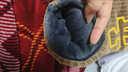 雙魚(yú)兔（SHUAGNYUTU）加絨保暖背帶棉褲冬季北方男女寶寶開(kāi)檔夾棉背帶褲子加厚外穿 隨機款棉褲 80 1歲左右 曬單實(shí)拍圖