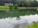 浪莎兒童內(nèi)褲A類男童平角褲抑菌內(nèi)檔男孩青少年平角褲親膚透氣短褲頭 貪吃小豬（固定4條,2條隨機(jī)） 6條 170 建議體重76-90斤 曬單實(shí)拍圖