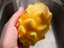裕農叔【順豐JD】燕窩果麒麟果孕婦水果黃色火龍果海南中秋節禮品送禮 2斤精品中果（單果100-150g） 曬單實(shí)拍圖