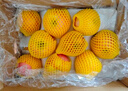 佳農(nóng) 煙臺(tái)紅富士蘋(píng)果 凈重10斤  單果重190g以上 中秋水果禮盒 曬單實(shí)拍圖