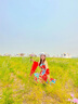 京功海南旅游服裝泰國三亞海邊度假沙灘裙女波西米亞長裙雪紡裙子V領(lǐng) 圖片色 M 曬單實拍圖