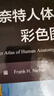 奈特人體解剖學(xué)彩色圖譜（第8版）英漢對照 國際暢銷(xiāo)解剖學(xué)圖譜 臨床醫學(xué)基礎醫學(xué)必讀 曬單實(shí)拍圖