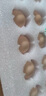 九華糧品 有機(jī)富硒土雞蛋30枚 凈重2.4斤 散養(yǎng)草雞蛋柴雞蛋 禮盒 曬單實(shí)拍圖