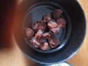 同仁堂品牌 北京同仁堂龍眼肉500g即食龍眼肉干桂圓肉干去核 教師節禮物 曬單實(shí)拍圖