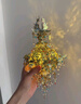 拼酷（piececool）無(wú)骨花燈+輕便工具套裝 3D立體金屬拼圖教師節禮物送女朋友 曬單實(shí)拍圖