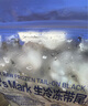 Member's Mark 生冷凍帶尾黑虎蝦仁 908g（每454克(1磅) 約含有21-30只蝦仁） 908g(凈重) 曬單實(shí)拍圖