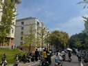 德?tīng)柆敚―eerma）推桿地毯式兩用小型強力大功率吸塵器 大吸力寵物吸毛吸塵器DX700Pro 曬單實(shí)拍圖