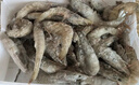 海云馨蝦活蝦速凍生鮮青島大蝦海蝦海鮮水產(chǎn)鮮活冷凍凍蝦超大白蝦 14-17cm整箱 3斤(凈重)  【店鋪推薦】 曬單實(shí)拍圖