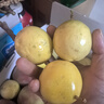 京鮮生 海南欽蜜9號黃金百香果3斤凈重70-90g/15-21個 生鮮水果源頭直發(fā) 曬單實拍圖