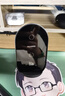 華為（HUAWEI）立式無(wú)線(xiàn)充電器(Max 80W)套裝版含100W充電器+6A數據線(xiàn)適用手機華為Pura 80系列曜石灰 曬單實(shí)拍圖