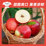 京鮮生 云南昭通紅露蘋(píng)果 凈重3斤 單果65mm+新鮮水果 源頭直發(fā) 包郵 曬單實(shí)拍圖