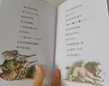 當當正版童書(shū) 野薔薇村的故事 螢火蟲(chóng)的夢(mèng)想家 探索世界的孩子 宮澤賢治小森林童話(huà)貓的風(fēng)工廠(chǎng)經(jīng)典文學(xué)合輯 給小學(xué)生橋梁書(shū) 貓頭鷹的眼淚茶 全6冊 曬單實(shí)拍圖