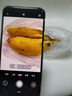 HUAWEI Pura 80 Pro+  16GB+512GB 釉黑一英寸高動(dòng)態(tài)主攝  個(gè)性色卡AI輔助構(gòu)圖 華為鴻蒙智能手機(jī) 曬單實(shí)拍圖