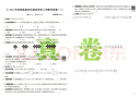 2026版小升初四川十大名校入學(xué)真卷.數學(xué)：培優(yōu)版 曬單實(shí)拍圖