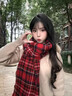 恬飾紅色圍巾女過(guò)年春節新年冬季百搭高級保暖流蘇披肩氛圍感新年春節 圍巾女【格子紅】 曬單實(shí)拍圖