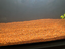 瘋狂水草（FKSC）櫻桃紅雨林砂5斤裝1.0-2.0mm魚(yú)缸造景底砂 魚(yú)缸底部沙石 魚(yú)缸底沙 曬單實(shí)拍圖