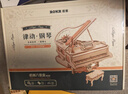 若客（ROKR）律動(dòng)鋼琴 八音盒音樂(lè )盒積木diy手工拼圖木質(zhì)拼裝模型玩具生日禮物 曬單實(shí)拍圖