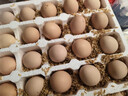 正宗土雞蛋農家散養新鮮雞蛋草雞蛋笨雞蛋現撿現發(fā)早餐溏心蛋買(mǎi)菜 20枚 曬單實(shí)拍圖