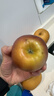 山姆大叔云南昭通丑蘋(píng)果【多地次日達】冰糖心粉脆甜富士新鮮水果禮盒 【金獎·高原黃金甜】巨無(wú)霸｜80mm+ 10斤裝【樹(shù)頂向陽(yáng)果｜老農精挑】?jì)?斤 曬單實(shí)拍圖