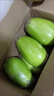 綠茄子現摘無(wú)籽可生吃農家自種當季新鮮青茄子現摘現發(fā) 綠茄子 好吃不貴 新鮮發(fā)貨 0g 一整箱 5斤【人工現摘現發(fā)】 曬單實(shí)拍圖