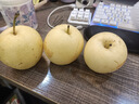 正宗河北皇冠梨產(chǎn)地直發(fā)深澤皇冠梨10 皇冠梨帶箱2斤裝凈重1.6-1.8斤 曬單實(shí)拍圖