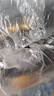 沃隆每日堅果175g/7袋堅果炒貨孕婦零食核桃仁腰果混合干果清新款 曬單實(shí)拍圖