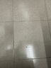 Member's Mark 泰國進(jìn)口 生冷凍黑虎蝦 2kg (約31-40只/每千克) 2kg(凈重) 曬單實(shí)拍圖