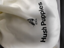 暇步士（Hush Puppies）皮帶男牛皮腰帶自動(dòng)扣商務(wù)男士腰帶禮盒裝生日禮物送男朋友父親 曬單實(shí)拍圖
