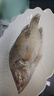 彈指鮮生 臭鱖魚(yú) 三去凈膛正宗安徽冷凍臭鮭魚(yú)桂魚(yú)黃山特產(chǎn)半成品活魚(yú)腌制 凈膛9兩-1斤*3條 曬單實(shí)拍圖
