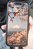 【已驗機】Apple iPhone 15 Pro 蘋(píng)果15pro二手 國行5G 雙卡雙待手機 全網(wǎng)通 【下方看質(zhì)檢報告選機】 256G 曬單實(shí)拍圖