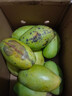 新鮮玉芒大青皮芒果應季生鮮新鮮水果 帶箱9斤大果300g+ 曬單實(shí)拍圖