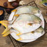 翔泰 海南深海金鯧魚(yú)2.4斤/3-4條凈重 BAP認證 生鮮魚(yú)類(lèi) 海鮮水產(chǎn)中秋 曬單實(shí)拍圖