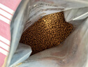 好主人金裝好主人貓糧2.0 成貓幼貓藍貓英短通用全價(jià)無(wú)谷凍干 【升級金裝80%含肉量】成貓糧5斤 曬單實(shí)拍圖