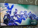小米（MI）電視S65 Mini LED 2025 65英寸 澎湃OS 低反屏 532分區(qū)1700nits L65MB-S一級能效國家補貼以舊換新 曬單實拍圖