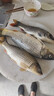 山頭林村日本進(jìn)口東麗原絲釣魚(yú)線(xiàn)主線(xiàn)超柔軟子線(xiàn)強拉力高端碳氟尼龍線(xiàn) 東麗軟碳氟-透明子線(xiàn)150米【進(jìn)口 1號 曬單實(shí)拍圖