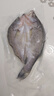 鮮京采三去海鱸魚(yú)3斤/3條 生鮮魚(yú)類(lèi) 白蕉鱸魚(yú)地標(biāo) 中秋家宴魚(yú)類(lèi)源頭直發(fā) 曬單實(shí)拍圖