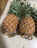 橙小士海南金鉆鳳梨17號自然熟現摘特大手撕無(wú)眼菠蘿新鮮水果整箱 9斤精選果【3-6個(gè)】?jì)艄?.5斤 曬單實(shí)拍圖