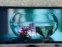 海信電視E8Q Pro 85英寸 信芯H7 6120分區(qū)U+MiniLED 黑曜屏Ultra 330Hz 超薄壁紙國家補(bǔ)貼85E8Q-PRO 曬單實(shí)拍圖