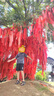 ASK JUNIOR男童套裝2024夏薄款短袖t恤兒童短褲跑步快干兩件套 灰色 150  曬單實(shí)拍圖
